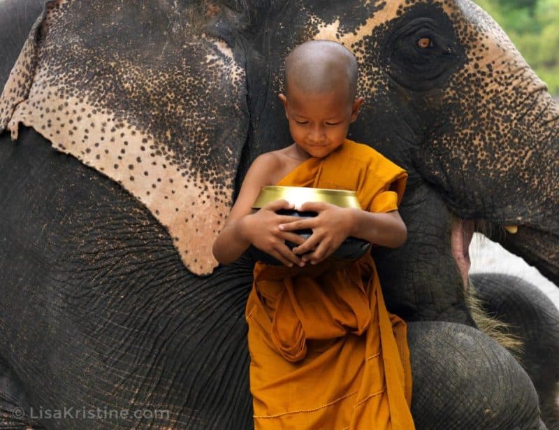 Lisa Kristine com Begging Bowl Thailand min