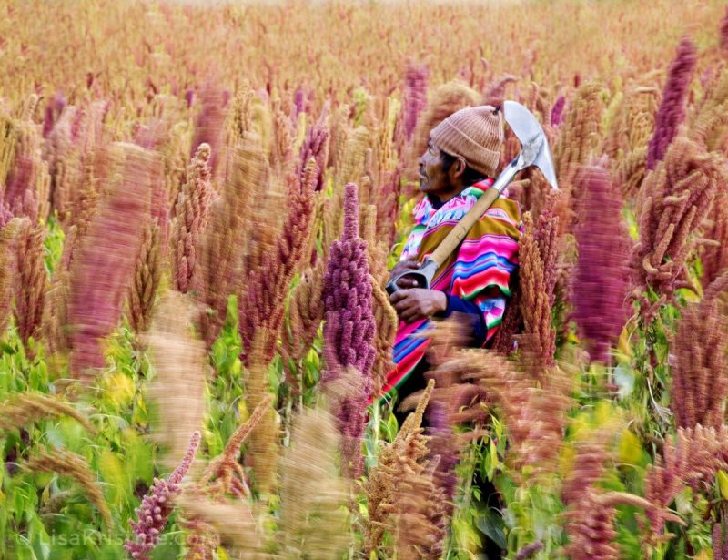 Lisa Kristine com Blowing Quiwicha Sacred Valley min