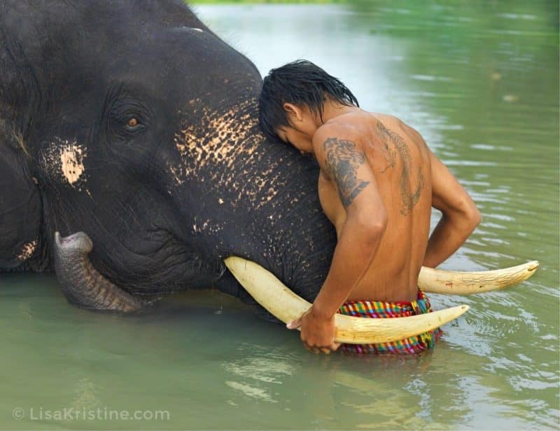 Lisa Kristine com These Tusks Myanmar min