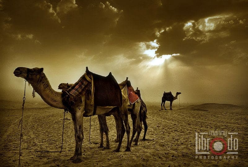 113287070.7aJAvwpy.xegypt013 min