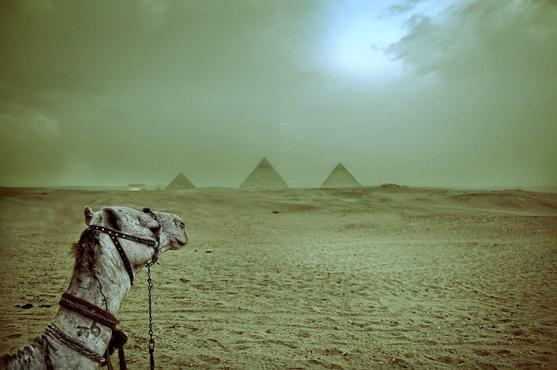113567624.2g1ydNiJ.egypt037 min