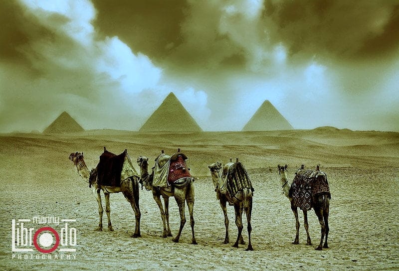 113570606.UhhMrgVP.xegypt038 min