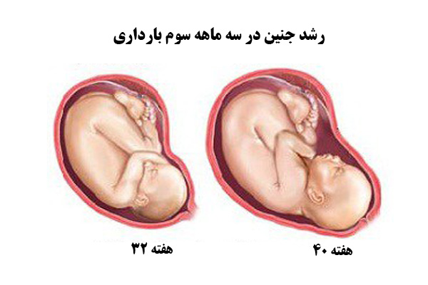 سه ماه سوم بارداری