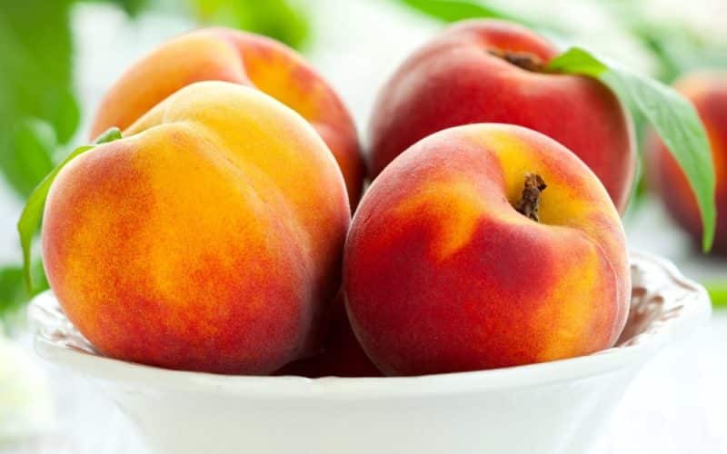 غذاهای فیبردار برای درمان یبوست کودکان