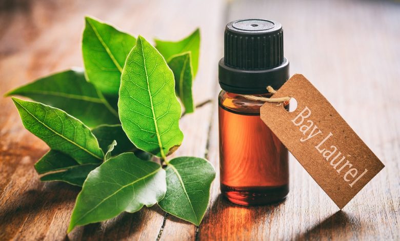 روغن برگ بو