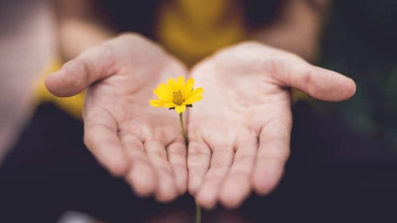 کاربردی ترین نکات روان شناسی کادو دادن