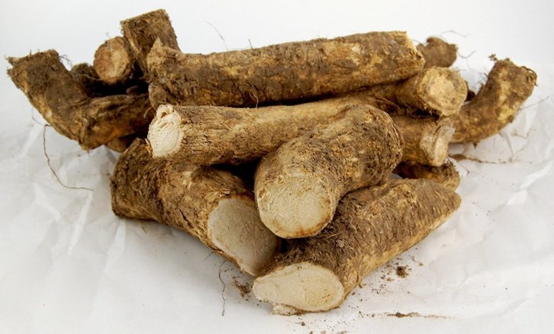 روغن کندش