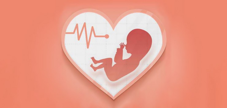 تشکیل قلب جنین