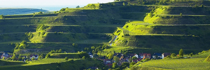 تپه‌های Kaiserstuhl