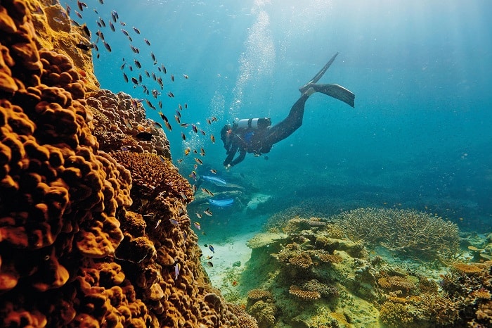 Barrier Reef در کشور استرالیا