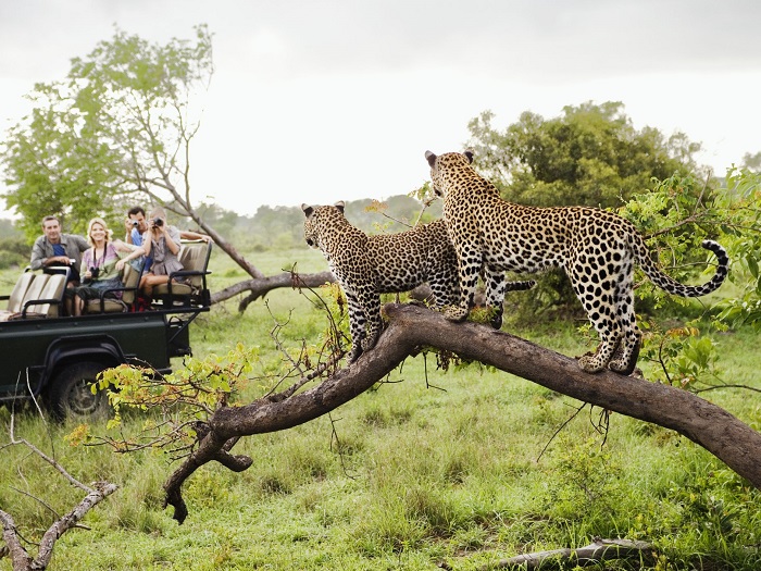 پارک ملی کروگر (Kruger) در آفریقای جنوبی