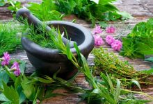 گیاهان دارویی برای ضدعفونی کردن منزل