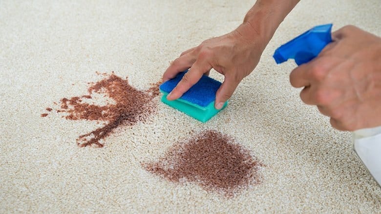 how to get blood stains out of your carpet