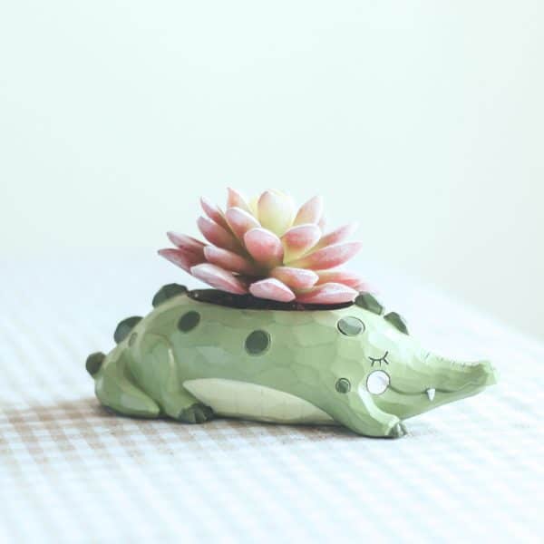 carved crocodile planter 600x600 1