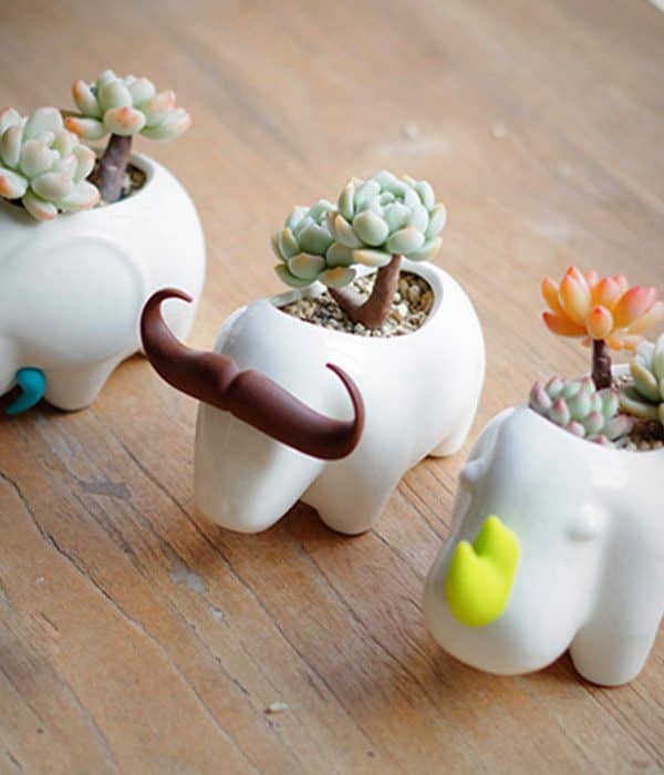 cute animal planters 600x700 1