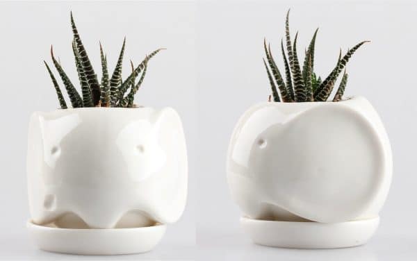 minimalist elephant planter 600x376 1