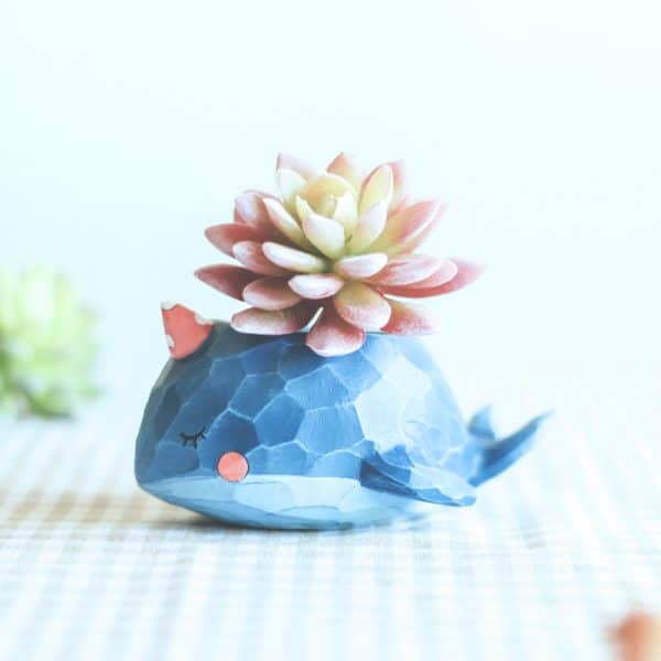 pink and blue succulent whale planter 600x600 1