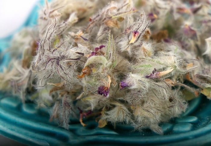 خواص چای کوهی