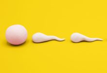 تقویت و افزایش اسپرم