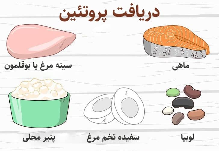 برای افزایش لنفوسیت چه باید کرد؟ پروتئین
