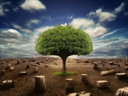 کمیسیون ماده ۷ کمیسیون ماده ۷
