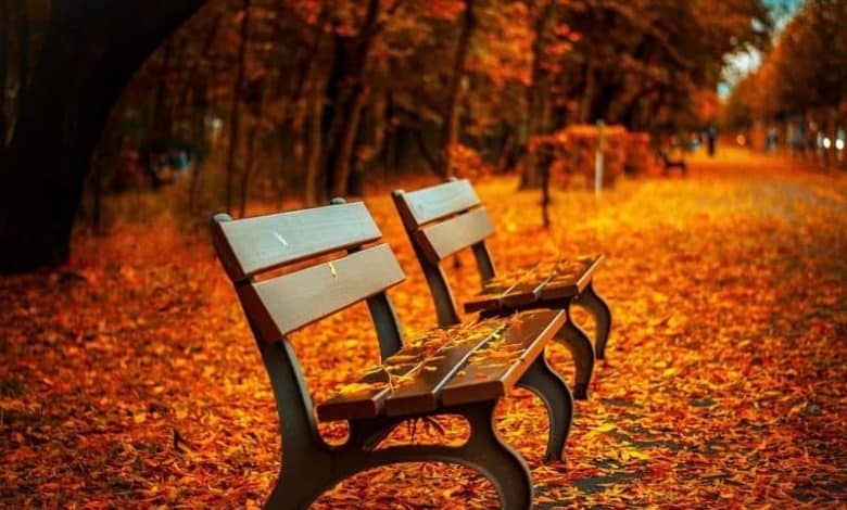 متن زیبا در مورد فصل پاییز به انگلیسی