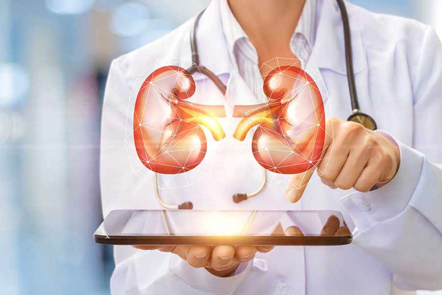 شایع ترین بیماری های کلیه و مجاری ادرار چیست؟