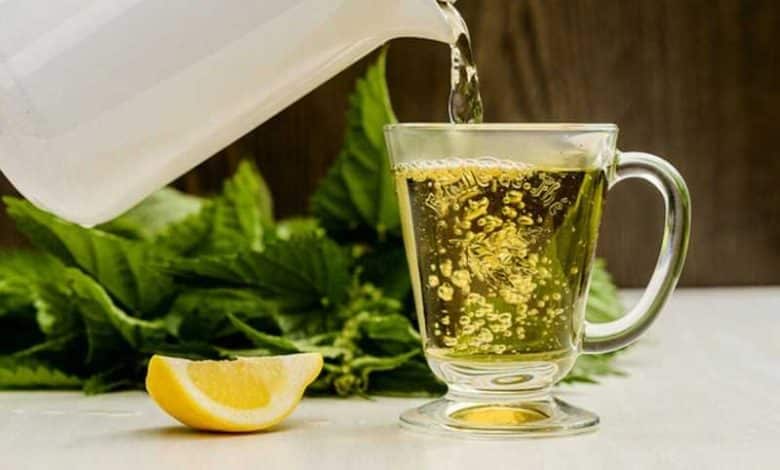 طرز تهیه دمنوش گزنه برای لاغری