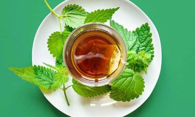 طرز تهیه دمنوش گزنه برای دیابت