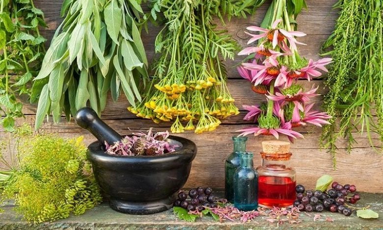 عصاره بوقناق و سایر گیاهان دارویی با کیفیت در آشا ارگانیک
