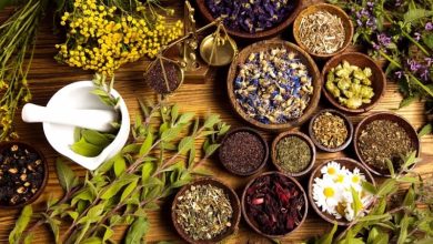 چای های گیاهی مفید برای بدن