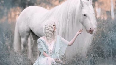 عکس دختر با اسب سفید برای پروفایل