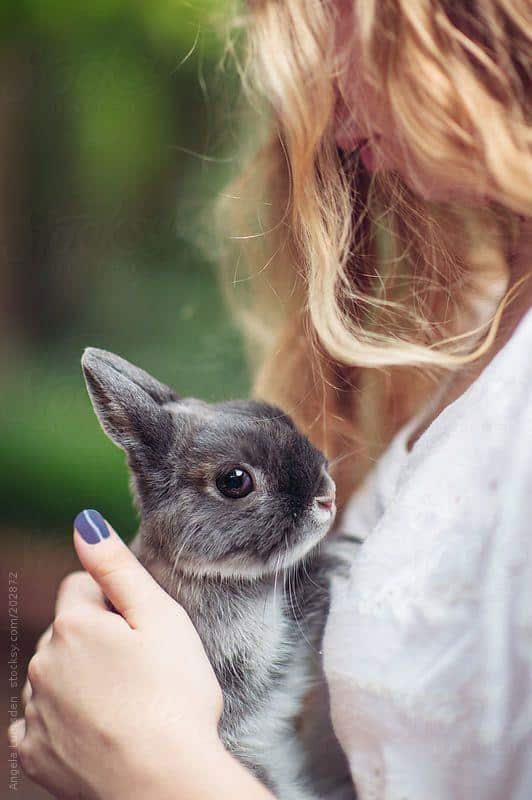 عکس دختر با خرگوش برای پروفایل