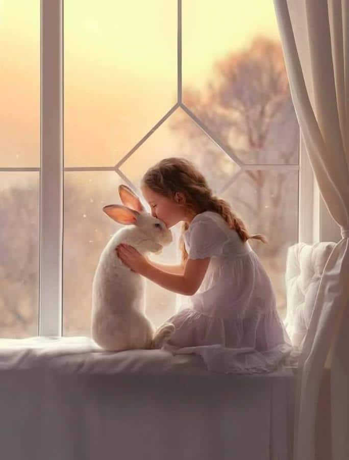 عکس دختر با خرگوش برای پروفایل
