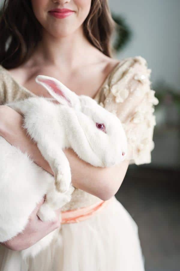 عکس دختر با خرگوش برای پروفایل
