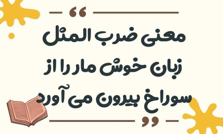 معنی ضرب المثل زبان خوش مار را از سوراخ بیرون می آورد