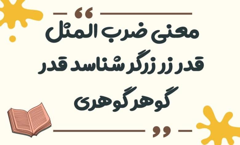 معنی ضرب المثل قدر عافیت کسی داند که به مصیبتی گرفتار آید