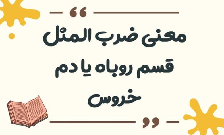معنی ضرب المثل قسم روباه یا دم خروس
