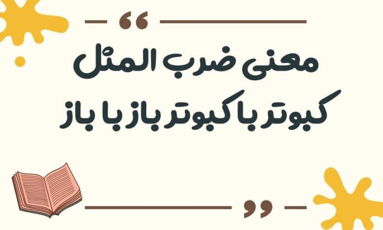معنی ضرب المثل کبوتر با کبوتر باز با باز کند همجنس با همجنس پرواز