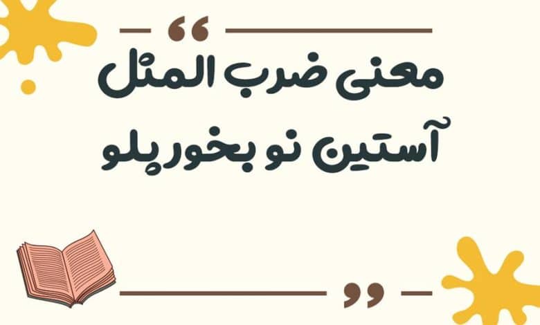 معنی ضرب المثل آستین نو بخور پلو