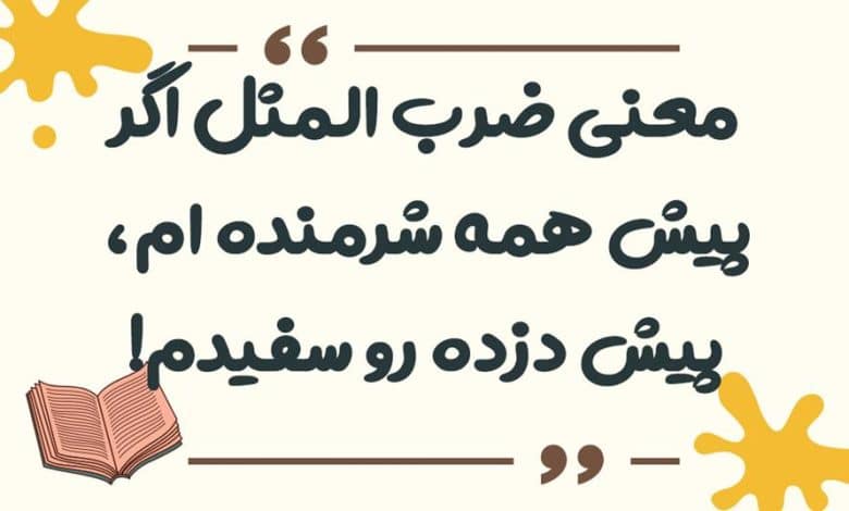 معنی ضرب المثل اگر پیش همه شرمنده ام، پیش دزده رو سفیدم!
