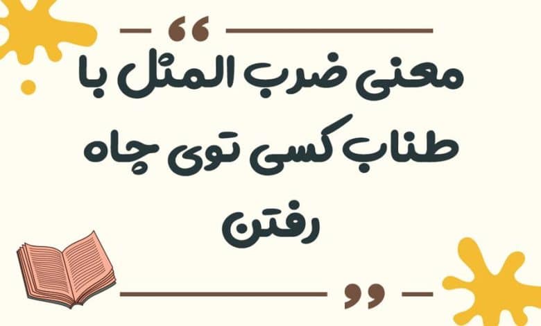 معنی ضرب المثل با طناب کسی توی چاه رفتن