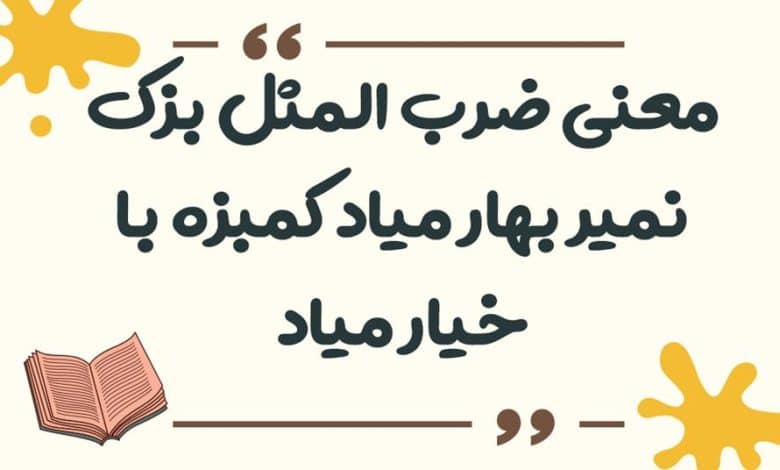 معنی ضرب المثل لگد به بخت خود زدن