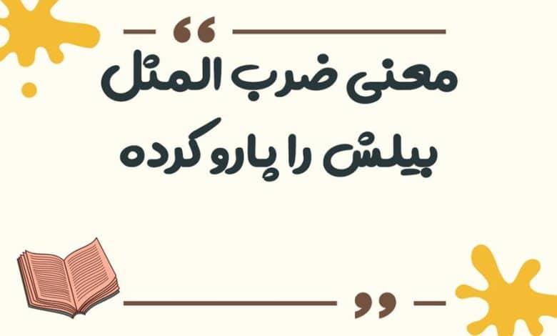 معنی ضرب المثل بیلش را پارو کرده