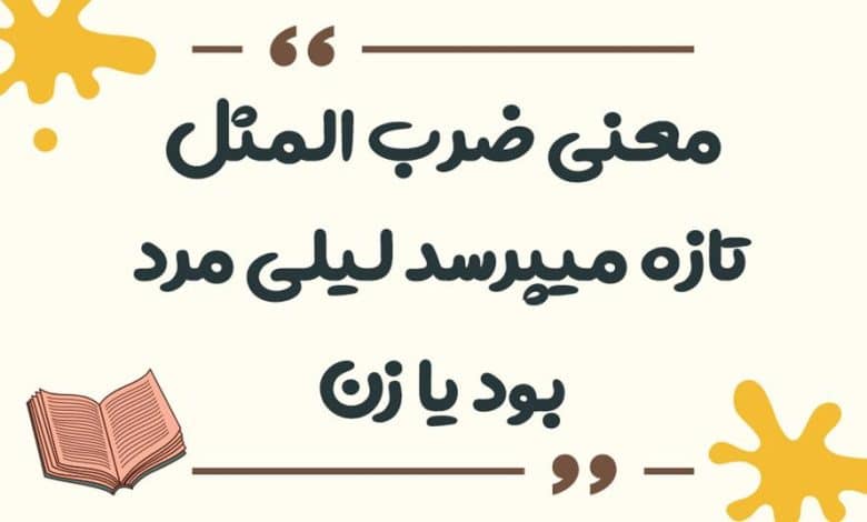 معنی ضرب المثل لگد به بخت خود زدن