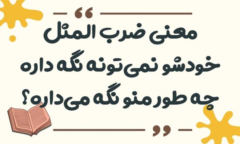 معنی ضرب المثل خودشو نمی‌تونه نگه داره چه طور منو نگه می‌داره؟