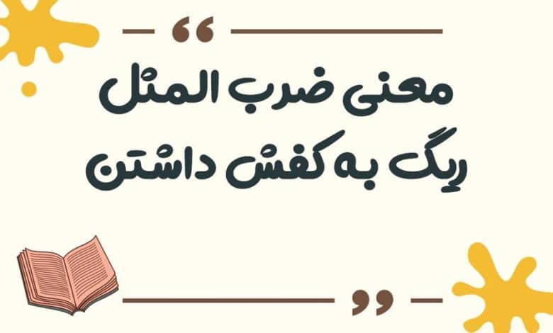 معنی ضرب المثل ظاهر و باطنش یکی است