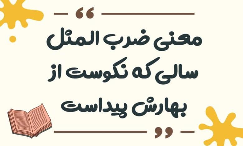 معنی ضرب المثل سنگ بزرگ علامت نزدن است