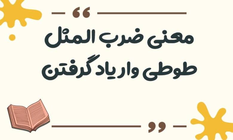 معنی ضرب المثل ظاهر و باطنش یکی است