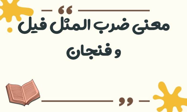 معنی ضرب المثل فیل و فنجان